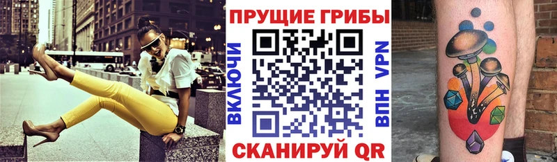кракен tor  что такое наркотик  Чусовой  Псилоцибиновые грибы мухоморы 